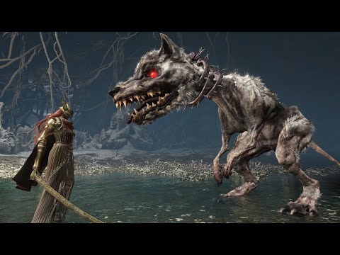 Crazy Monstrous Dog Vs Bosses - Elden Ring