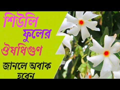 শিউলি ফুলের ঔষধিগুণ ও উপকারিতা Shiuli fuler upokarita o gunagun #alochona #etc