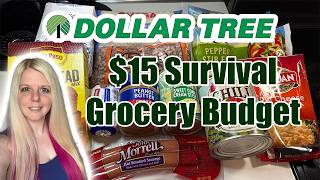 Eating for $15 a Week from Dollar Tree | Survival Budget Meal Plan