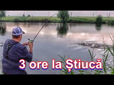 Pescuit la Stiuca, dimineata pe racoare