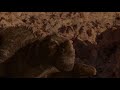 Disney S Dinosaur Bruton Is Attacked
