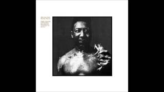 Muddy Waters After The Rain Full Album...