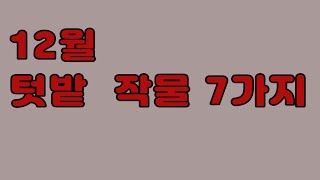12월 텃밭에 자라고 있는 작물 7가지