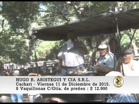 11-12-15 Venta de Vaquillonas Preñadas - Hugo R.Aristegui y Cia S.R.L. - Cacharì.