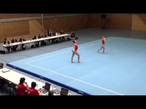 DM 2013-WP SEN DYNAMIC - Haas, Virmani