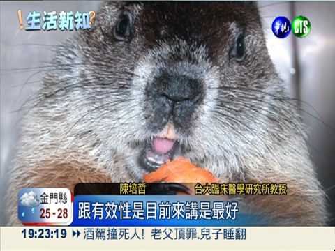 根治B肝有譜! 新藥研發再等10年