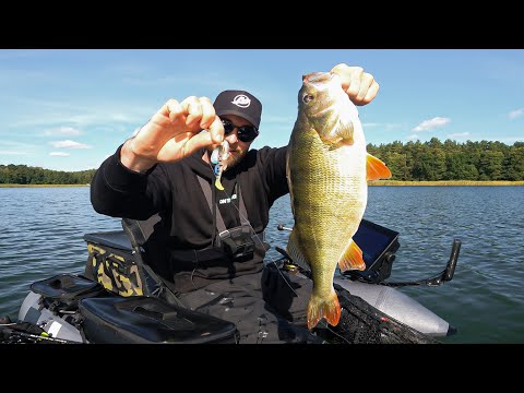 Speed Jiggen mit Grundeln auf 40+ Barsche im Sommer