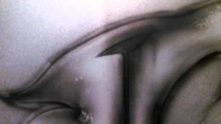 BlackTop Ink Project "WarBird" Honor Veterans Of War Wide Body Trans Am, Hood Close Up