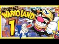 VIRTUAL BOY WARIO LAND 01 Grotto Distress Guarded Prison Underwater Mayhem Dinosaur Fish