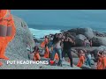 Uncha Lamba Kad Welcome Akshay Kumar Katrina Kaif Nana Patekar WhatsApp Status Youtube
