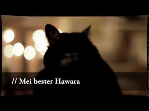 SeboKILL - Mei bester Hawara (Produced by BO.SE)