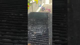 מתכון לדג על גריל פחמים