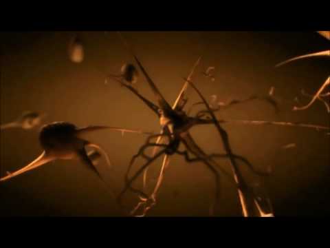 Maenia - Maenia - Memoria