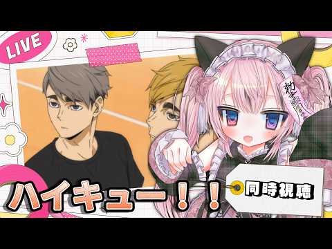 【#雑談/#同時視聴 】ハイキュー4期3話~同時視聴 同時視聴 【#猫霊みう/#新人vtuber】