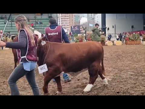 🔴CARLOS ROLDAN✅️PTE. ASOC. DE SOCIEDADES RURALES DE CTES.✴️138° EXPOSICIÓN DE PALERMO
