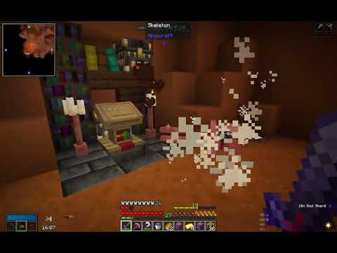 Vault Hunters 1.18 Episode 26: Level Up