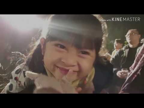 Jazz Gunung Bromo 2019