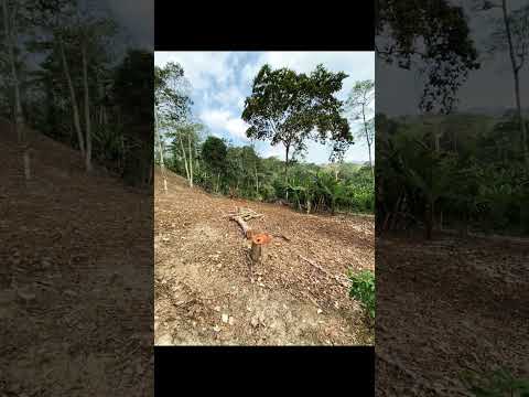 Lotes desde 1,000 m2 en Viota Cundinamarca