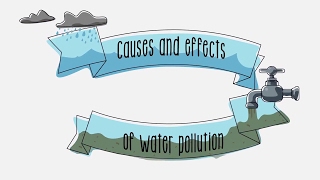 Causes and effects of water pollution