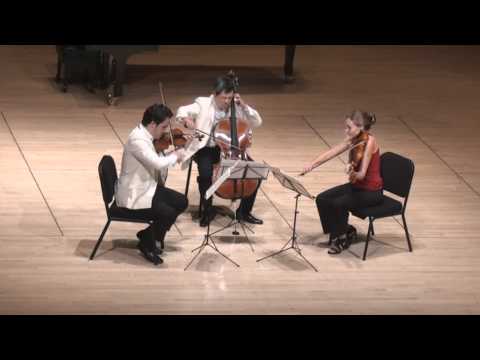 Beethoven String Trio in C minor - 2nd mvt. | G. Schmidt, L. Francis, E. Kim