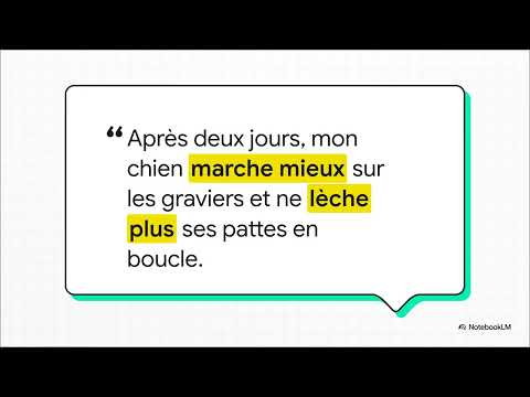 baume coussinet et truffe pour chien