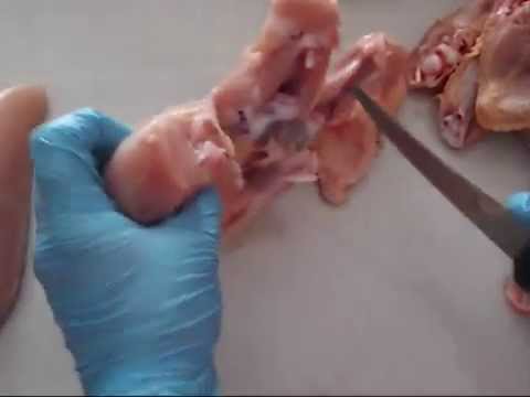 Dezosarea pieptului de pui simplu