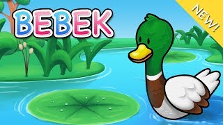 Lagu Anak Indonesia  Bebek