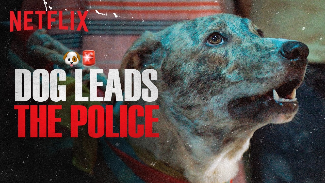 Pankaj Tripathi TRIES His BEST TO DECODE Oscar's CLUES 🐶⁉️ | Ohh My Dog | Netflix India
