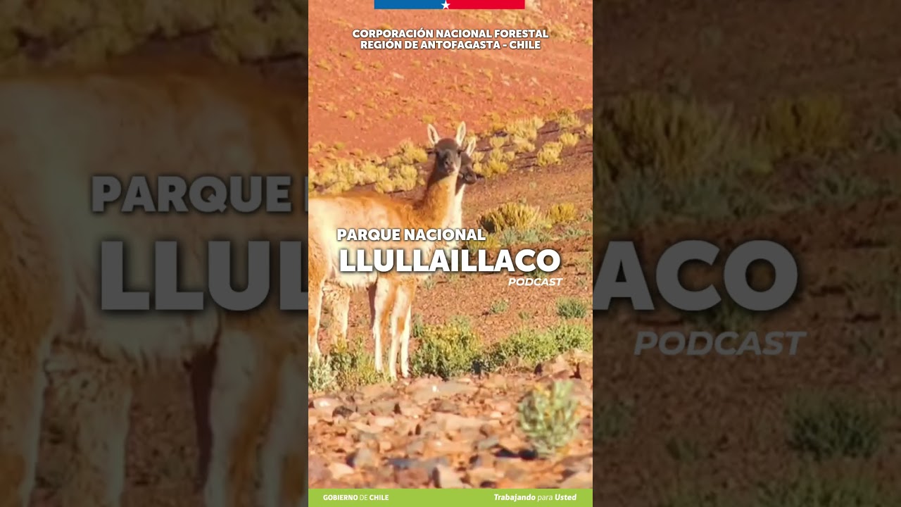 Escucha el podcast del Parque Nacional Llullaillaco de la Región de Antofasta