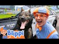 Blippi Meets Police Heroes Their K9 Dog Educational Kids Video