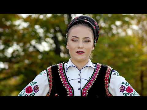 Delia Pop -  Caruta cu patru boi