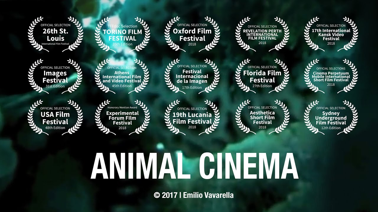 ANIMAL CINEMA - Trailer