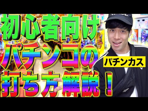 Vrbica (Nik?i?)について詳しく解説