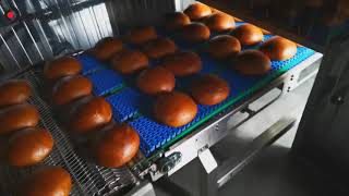 Tunnel de refroidissement Dovaina Cooling systems neuf | Image 4 - Machineryline