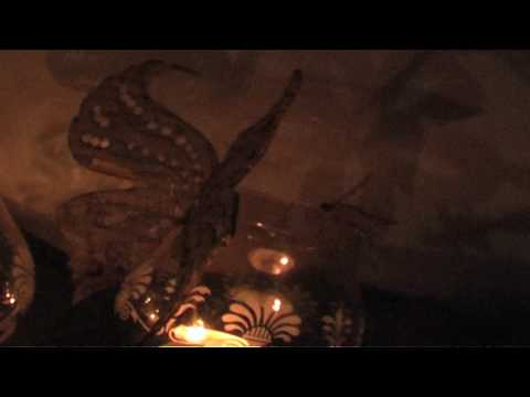 Music Video "Dream" (by Stefka Peykova and Nerissa Afonso)