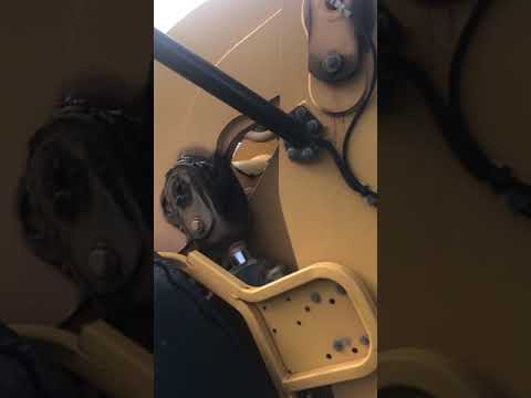 Copart Auto Auction - True story - Image 3