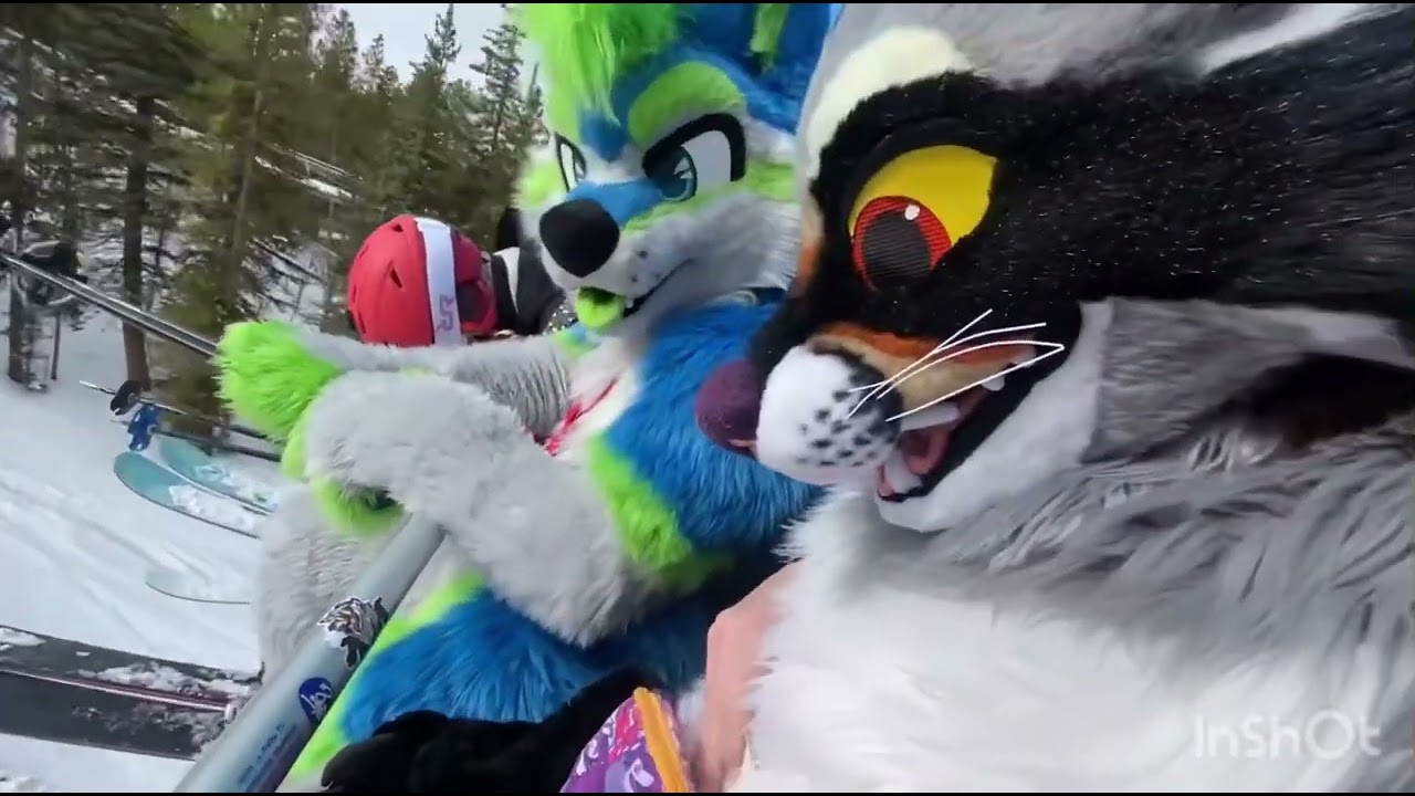Promotional video thumbnail 2 for Party Paws 🐾 Mascot