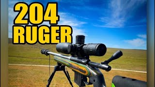 204 Ruger Varmint Rifle | 32gr V-MAX Precision from 200 to 800 Yards!