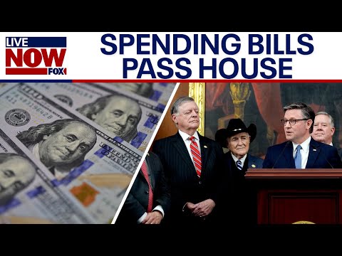 House passes final 2026 government funding bills, Speaker Johnson reacts