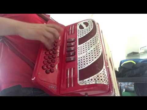 Adios amor acordeon boppola