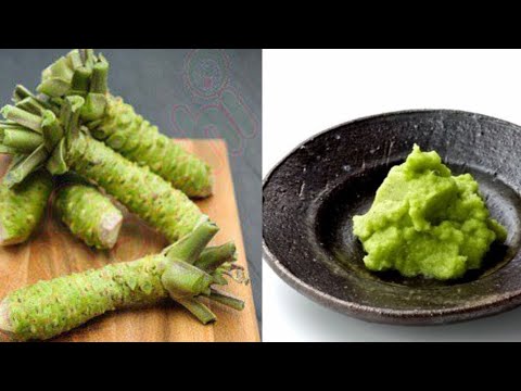 , title : 'Benefits Of Wasabi Top 10 Health Advantages of Eating Wasabi 2019'