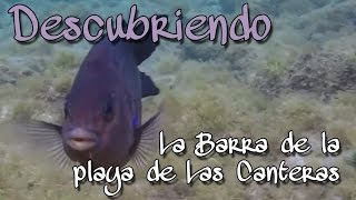 preview picture of video 'Descubriendo La Barra de la playa de Las Canteras'