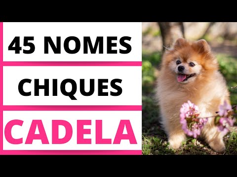 45 NOMES DE CACHORRO FÊMEA CHIQUE-PARTE 01🐶💓😍