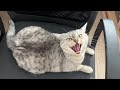 This Seat Is Taken