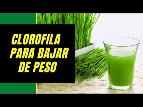 Clorofila para bajar de peso, eliminar grasas y limpiar el organismo / Beneficios, Secretos