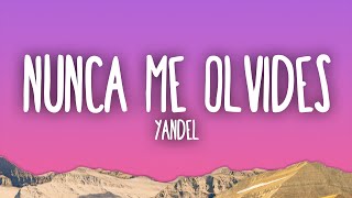 Download lagu Yandel - Nunca Me Olvides mp3 Download lagu Yandel - Nunca Me Olvides mp3