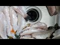 This video I show how I clean my yellow Perch Eskimo style