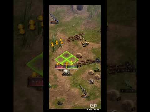 アリ塚について詳しく解説