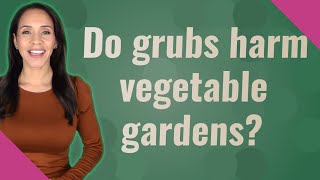 Do grubs harm vegetable gardens?