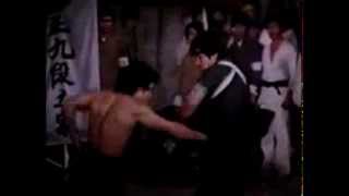 Gercek bruce lee - The Real Bruce Lee 1973 türkçe Dublaj